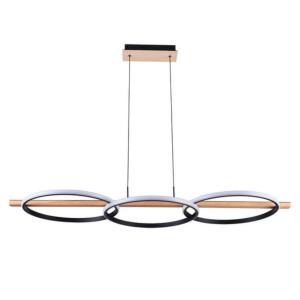 Подвесная люстра Fluido A3913SP-24BK Arte Lamp