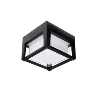 Потолочный светильник Ulysses A6406PF-1BK Arte Lamp