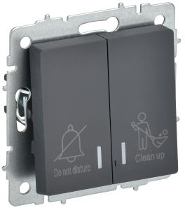 Выключатель 2-кл 10А С/У с индикатором для отелей Графит Brite