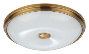 Потолочный светильник Pelow 4956/4 Odeon Light