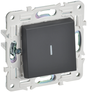 Переключатель 1-кл 10А C/У проходной с индикатором Титан Skandy