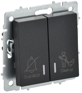 Выключатель 2-кл 10А С/У с индикатором для отелей Черный Brite