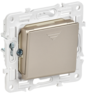 Выключатель карточный 30А С/У Шампань Skandy