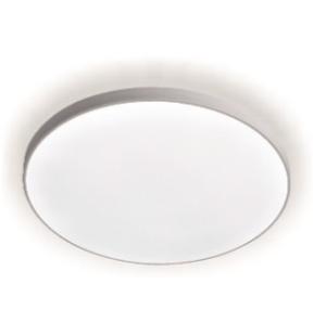 Светильник светодиодный  BL  40W 5000K IP65 LE LED бел. LEEK