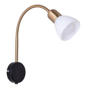 Настенный светильник Falena A3116AP-1BK Arte Lamp