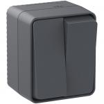 Выключатель 2-кл 10А О/У Антрацит AtlasDesign Profi54