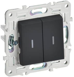 Выключатель 2-кл 10А С/У с индикатором Графит Skandy