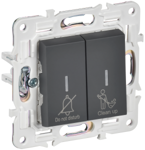 Выключатель 2-кл 10А С/У с индикатором для отелей Графит Skandy