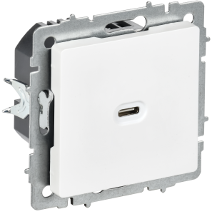 Розетка USB С 65Вт С/У Арктический Белый Brite