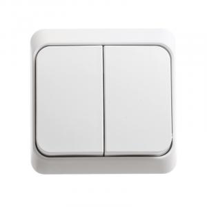 Выключатель 2-кл 10А О/У с индикатором Белый Etude