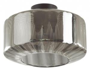 Потолочный светильник Binga 4746/1C Odeon Light