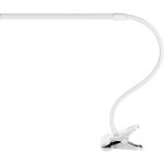 Настольная лампа Conference A1106LT-1WH Arte Lamp