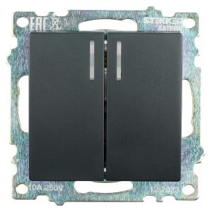 Выключатель 2-кл 10А С/У с индикатором Черный Катрин