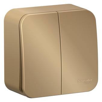 Выключатель 2-кл 10А О/У изолирующая пластина Титан Blanca