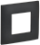 Рамка 1-м Графит Skandy