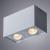 Накладной светильник A5544PL-2WH Arte Lamp