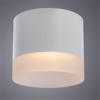 Накладной светильник A5554PL-1WH Arte Lamp