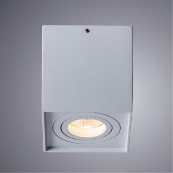 Накладной светильник A5544PL-1WH Arte Lamp