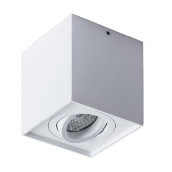 Накладной светильник A5544PL-1WH Arte Lamp