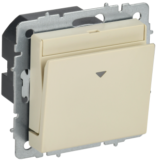 Выключатель карточный 30А С/У Бежевый Brite