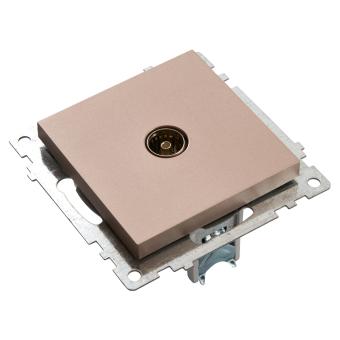 Розетка TV антенна С/У Шампань Катрин