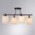 Потолочная люстра A4071PL-4BK Arte Lamp