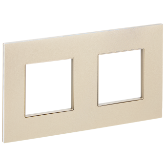 Рамка 2-я Металл Шампань Skandy