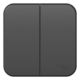 Выключатель 2-кл 10А О/У изолирующая пластина Антрацит Blanca