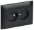 Розетка 2-м 10А С/У со шторками в сборе Черный Skandy