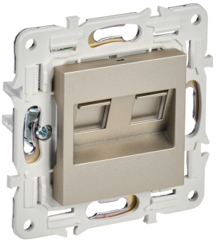 Розетка RJ45+RJ45 кат.5Е С/У Шамапнь Skandy