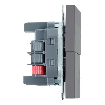 Переключатель 2-кл 10А С/У Самозажимные клеммы Платиново-серый Эмили