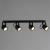 Спот A1311PL-4BK Arte Lamp