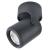 Спот A3316PL-1BK Arte Lamp