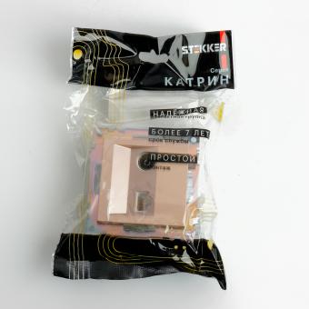 Розетка TV антенна + RJ45 С/У Шампань Катрин