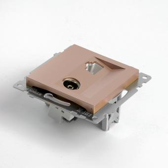 Розетка TV антенна + RJ45 С/У Шампань Катрин