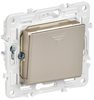Выключатель карточный 30А С/У Шампань Skandy