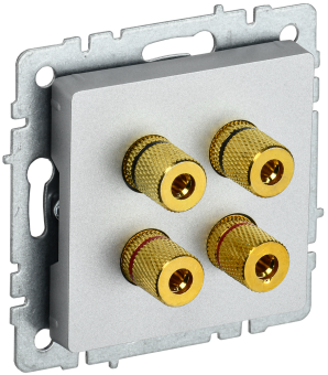 Розетка Аудио 4-м С/У Алюминий Brite