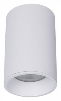 Накладной светильник Zoom C029CL-01-S-W Maytoni