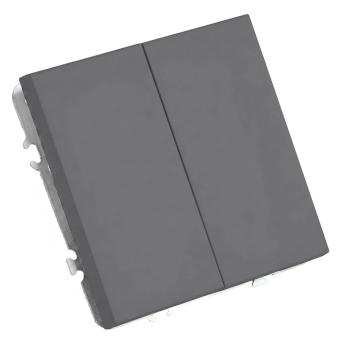 Переключатель 2-кл 10А С/У Платиново-серый Эмили