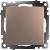 Выключатель 1-кл 10А С/У Шампань Катрин