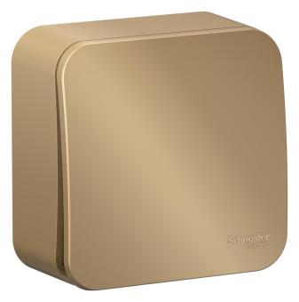 Выключатель 1-кл 10А О/У изолирующая пластина Титан Blanca