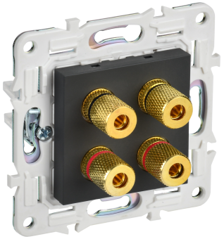 Розетка Аудио 4-м С/У Графит Skandy