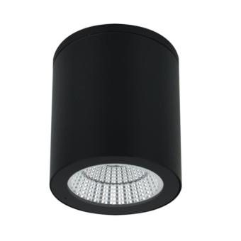 Накладной светильник Torcular A1813PF-1BK Arte Lamp