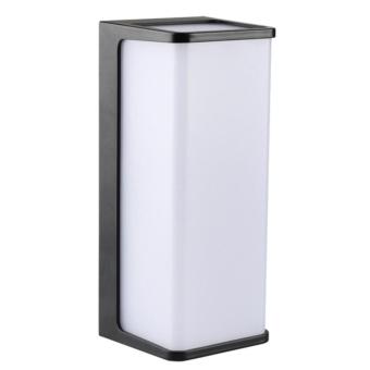 Настенный светильник Lancia A6419AL-1BK Arte Lamp