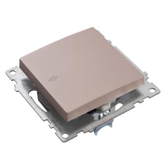 Переключатель1-кл 10А С/У Шампань Катрин