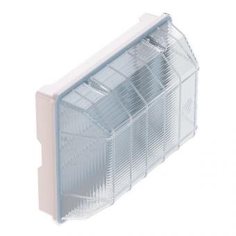 Уличный светильник РБУ02-80-002 (прозрачный)