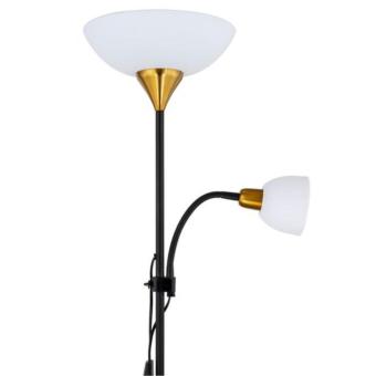 Торшер A9569PN-2BK Arte Lamp