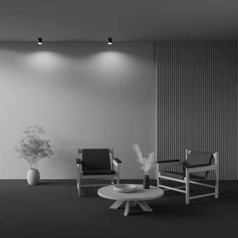 Накладной светильник Pauline C008CW-01B Maytoni