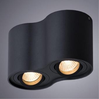 Накладной светильник A5645PL-2BK Arte Lamp