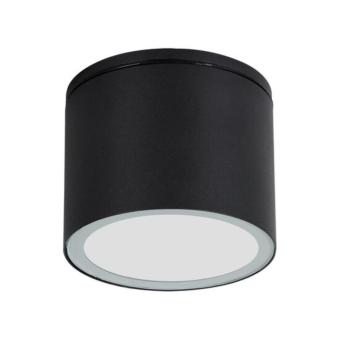 Потолочный светильник Piautos A1913PF-1BK Arte Lamp